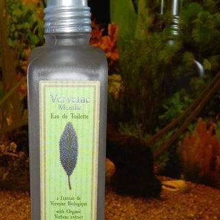Verveine Menthe / Mint Verbena von L'Occitane en Provence