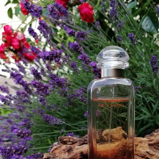 Teint de Neige (Eau de Parfum) - Lorenzo Villoresi