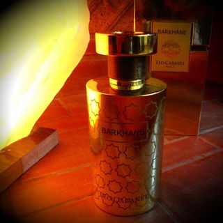 Barkhane - Téo Cabanel