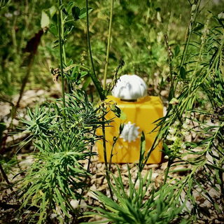 Sunshine Woman von Amouage