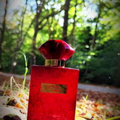 Danke für's Vorbeischauen 🍁🍂 (von DorisKa)