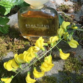 Beautiful (Eau de Parfum) von Estēe Lauder