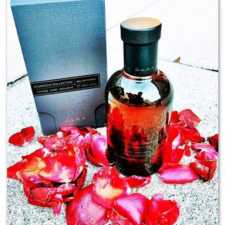 #sweet #honey #coconut #winter #warm #night #dark