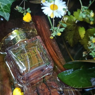 Yellow Diamond - Versace