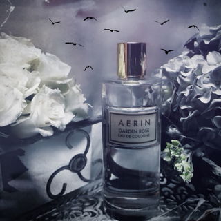 Hitchcock's Vögel kommen....