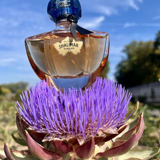 Shalimar Millésime Jasmin by Guerlain
