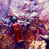 Herzlichen Dank für Eure Besuche 🥰 (by MadameLegras)