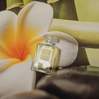 N°19 Poudré von Chanel