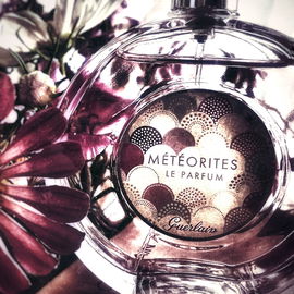 Mango Skin - Vilhelm Parfumerie