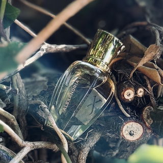 Alexandria II (Parfum) by Xerjoff