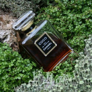 Coco (Eau de Parfum)