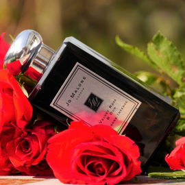 Velvet Rose & Oud (Cologne Intense) - Jo Malone