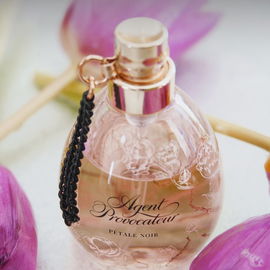 Pétale Noir - Agent Provocateur