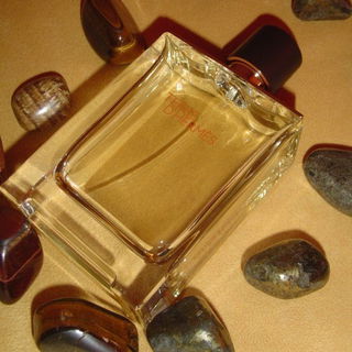 Terre d'Hermès (Eau de Toilette) von Hermès