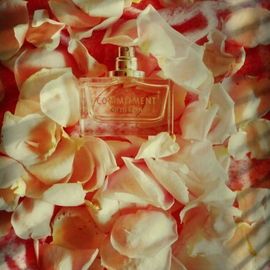 Commitment Woman (Eau de Parfum) - Otto Kern