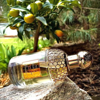 Aqua Allegoria Mandarine Basilic by Guerlain