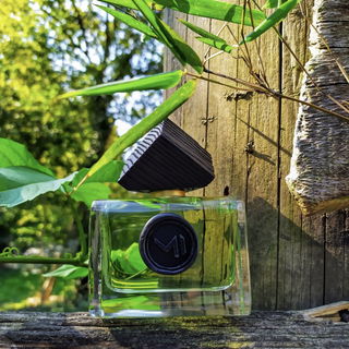 Figue Eleii - Maison Incens