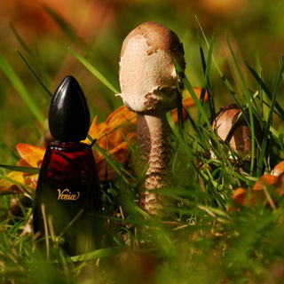 Venise (1986) / Venice (Eau de Toilette) - Yves Rocher