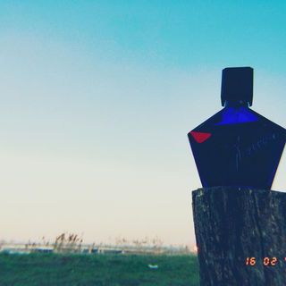 Looking for adventure