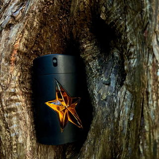 Mugler’s Stern im Holzmalz ✴️