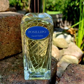 Perfect Oud (Eau de Parfum) - Mizensir