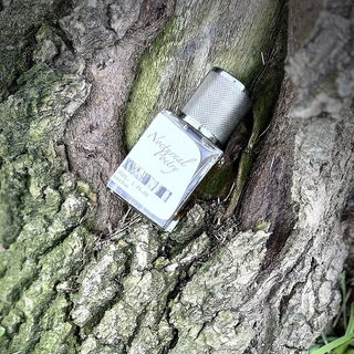 Nocturnal Poetry - Prin