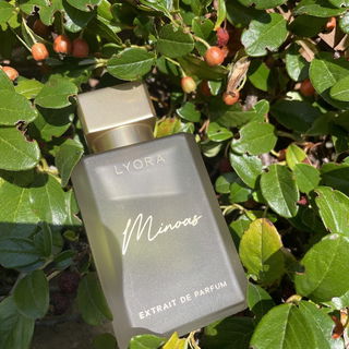 Minoas von Lyora