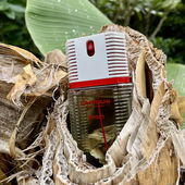 Tristes Tropiques (by Intersport)