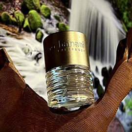 Bruno Banani Man (Eau de Toilette) - Bruno Banani