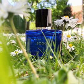 Vanille Patchouli (Eau de Parfum) - Molinard