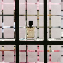 Terre d'Hermès (Parfum) - Hermès