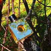 🌿🪵🌳 Moosig holzig grün-würzig 🌳🪵🌿 Danke fürs Vorbeischauen 💚 (von MadameLegras)