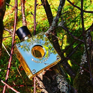 🌿🪵🌳 Moosig holzig grün-würzig 🌳🪵🌿 Danke fürs Vorbeischauen 💚