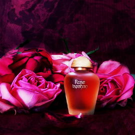 ❤️🌹 Wunderschöne samtige Verführung 🌹❤️ Danke Euch allen 🥰