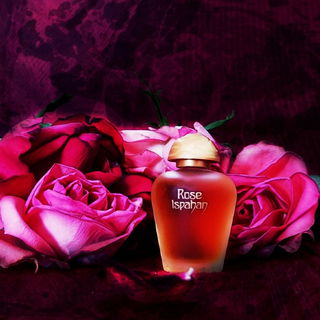 ❤️🌹 Wunderschöne samtige Verführung 🌹❤️ Danke Euch allen 🥰