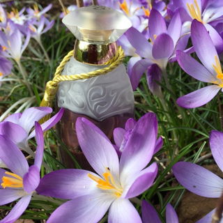 Anglomania - Vivienne Westwood