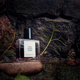 The Dark Side von Francesca Bianchi