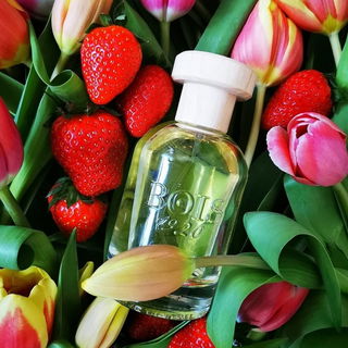 Insieme by Bois 1920