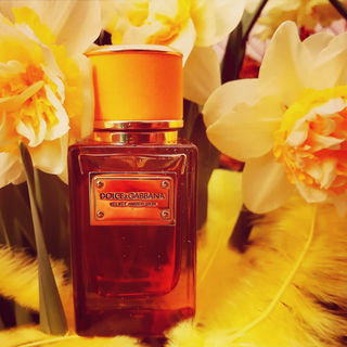 Velvet Amber Skin - Dolce & Gabbana