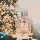 Spätsommerlicht! Danke Euch! (von Rivegauche)