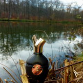 Alles ist Eins - und durch Stille vereint - vielen Dank für Eure lieben Fotokommentare 🦆🦢🦆 (von Bille74)