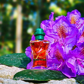 Diese Rhododendronblüte musste einfach mit aufs Bild 💜 Lieben Dank Euch allen 💜