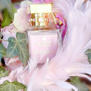 Ein kleines Träumchen  🍒- weiteres Foto in meinem Album - Danke für Eure lieben Fotokommentare 🍒