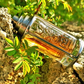 The Scent for Him (Eau de Toilette) - Hugo Boss