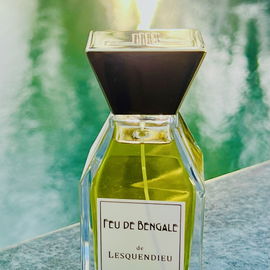 Feu de Bengale (2016) - Lesquendieu