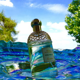 Aqua Allegoria Herba Fresca - Guerlain