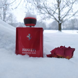 Essence Oud - Ferrari