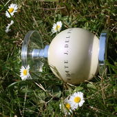 in meinem Garten aufgenommen :-) (by ElenaN)