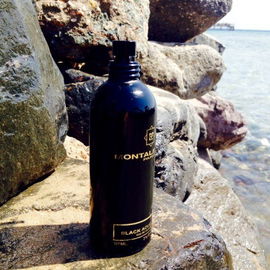 Black Aoud - Montale