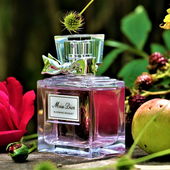 Ich bedanke mich bei allen für so viel Zuspruch :) (by Smitty)